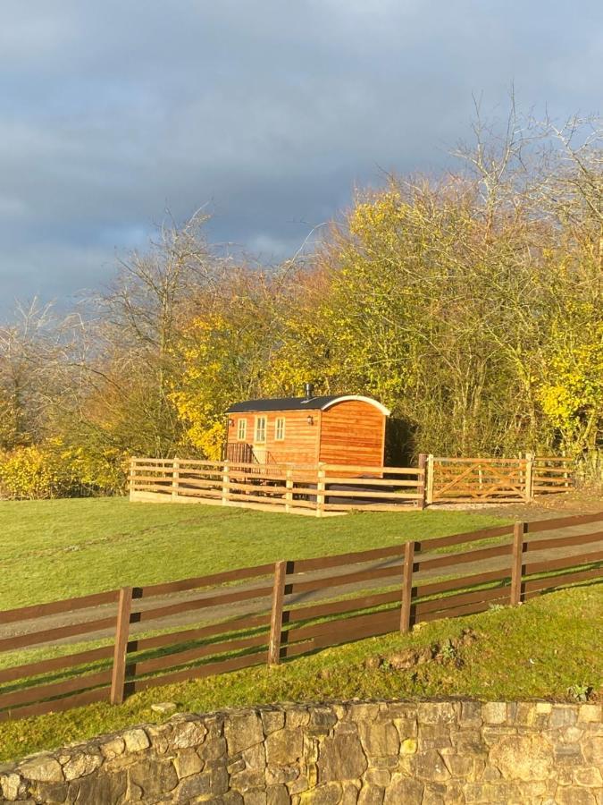 The Snug At Coed Y Gaer Villa Oswestry Kültér fotó